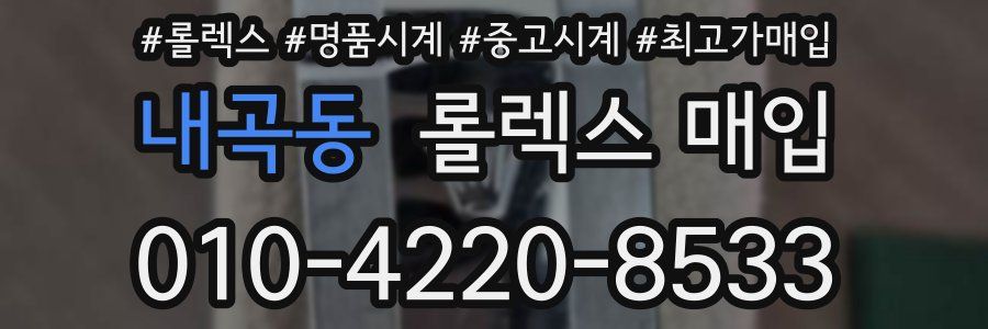 내곡동 롤렉스 매입