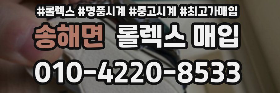 송해면 롤렉스 매입