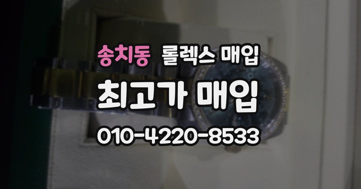 송치동 롤렉스 매입