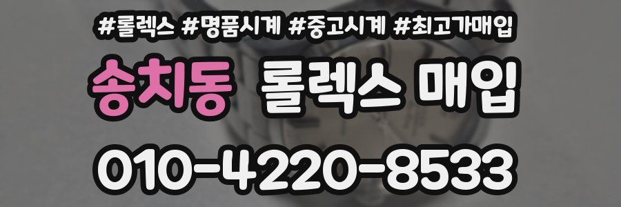 송치동 롤렉스 매입