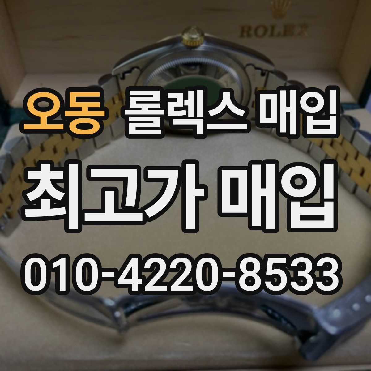 오동 롤렉스 매입