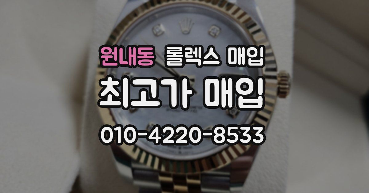 원내동 롤렉스 매입