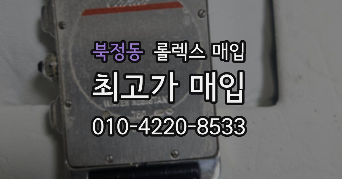 북정동 롤렉스 매입