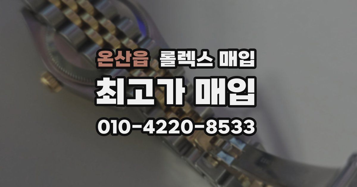 온산읍 롤렉스 매입