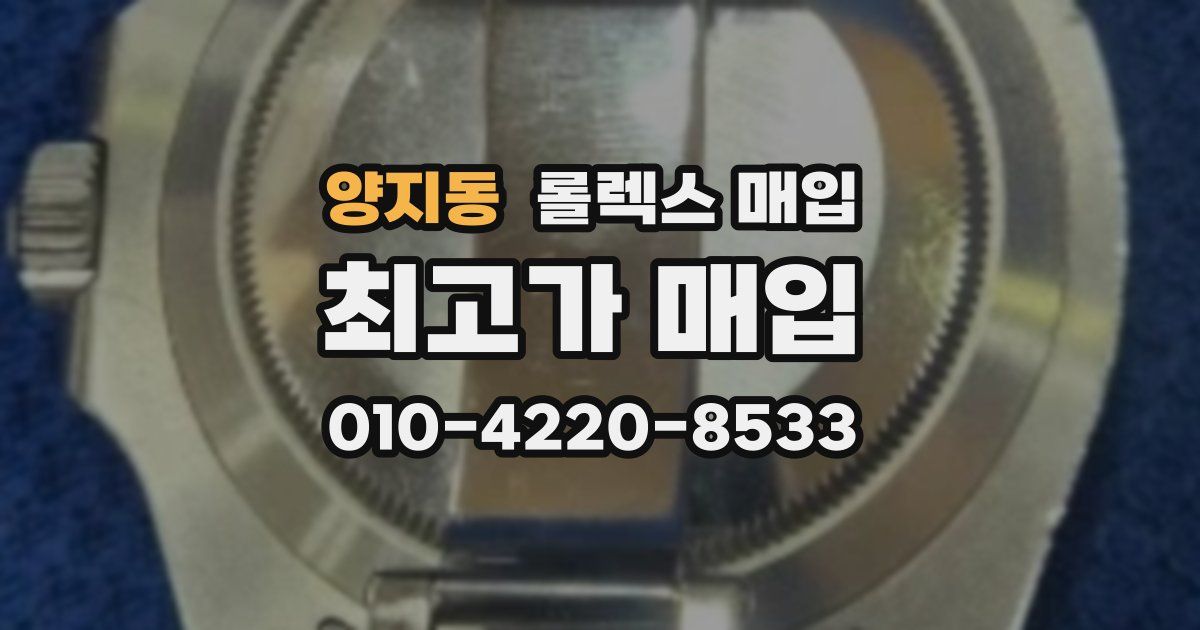 양지동 롤렉스 매입