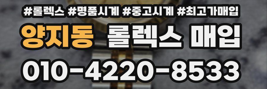 양지동 롤렉스 매입