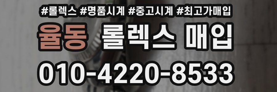 율동 롤렉스 매입