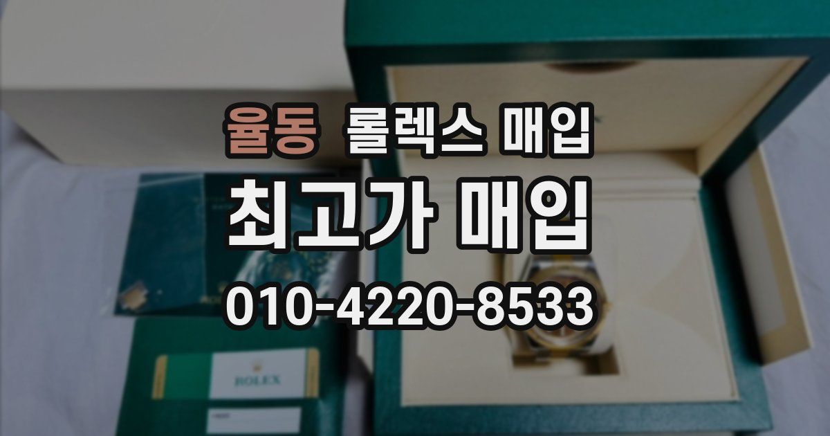 율동 롤렉스 매입
