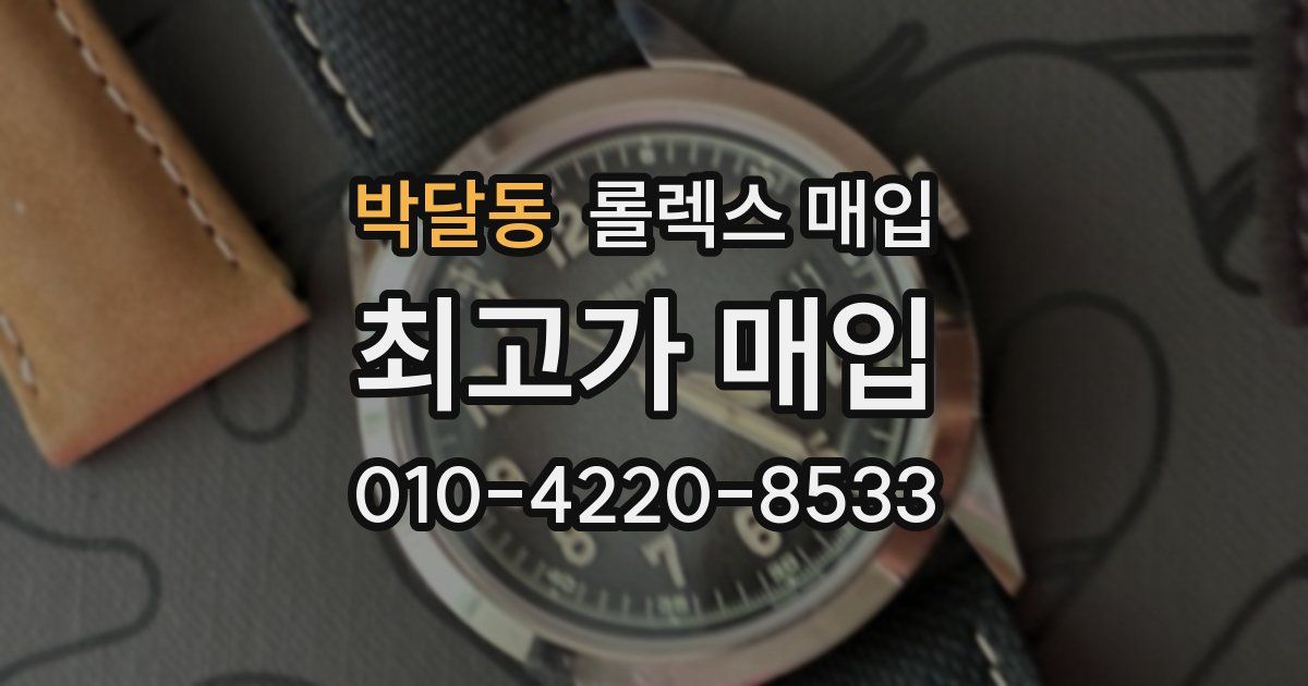 박달동 롤렉스 매입