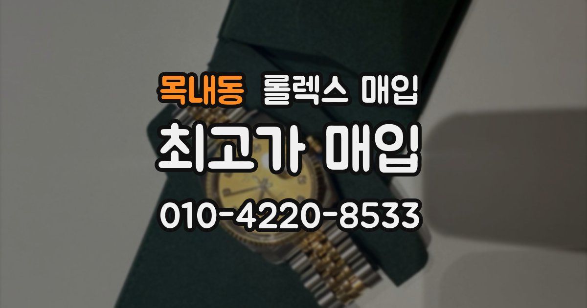 목내동 롤렉스 매입
