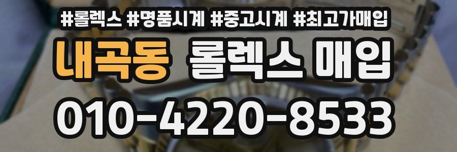 내곡동 롤렉스 매입