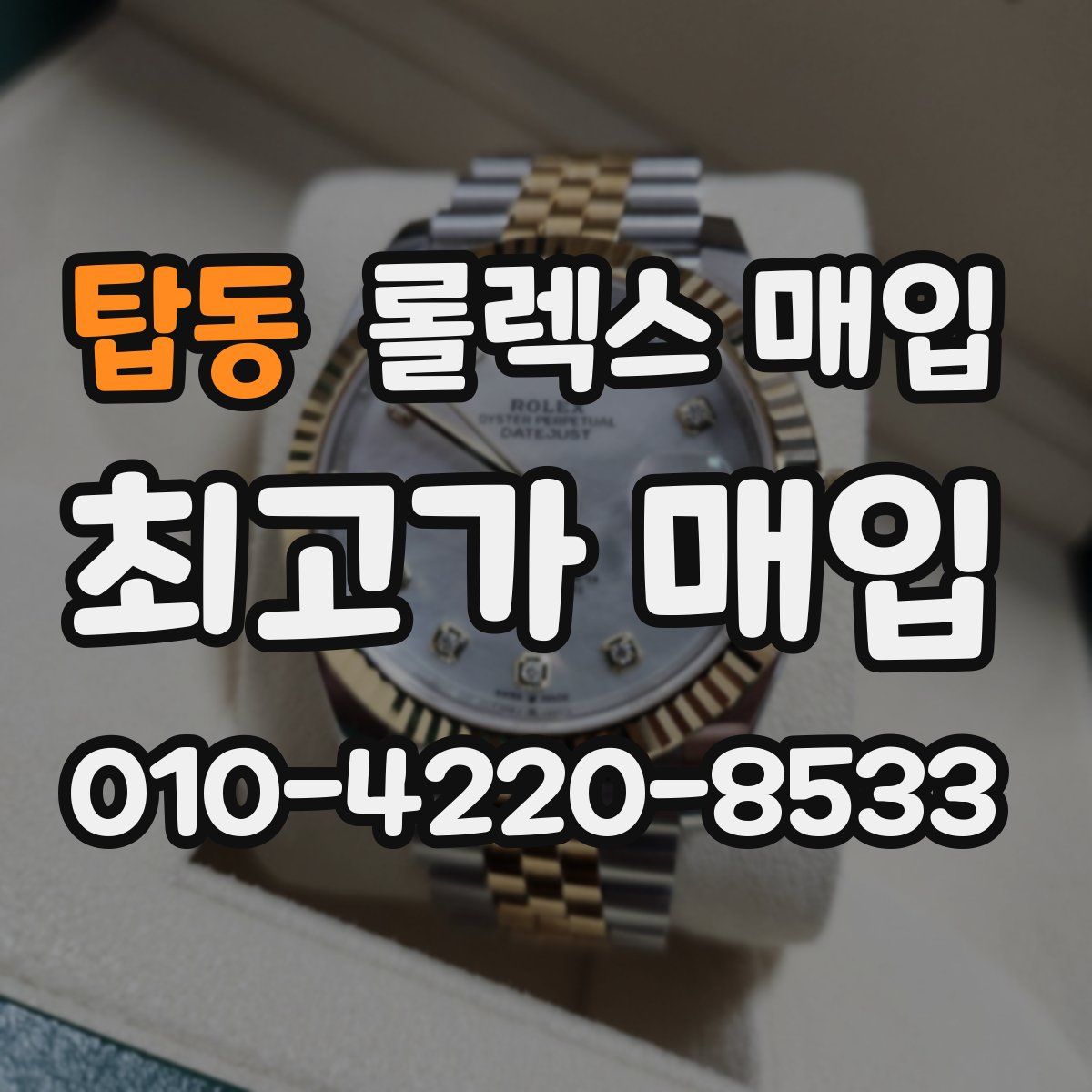 탑동 롤렉스 매입