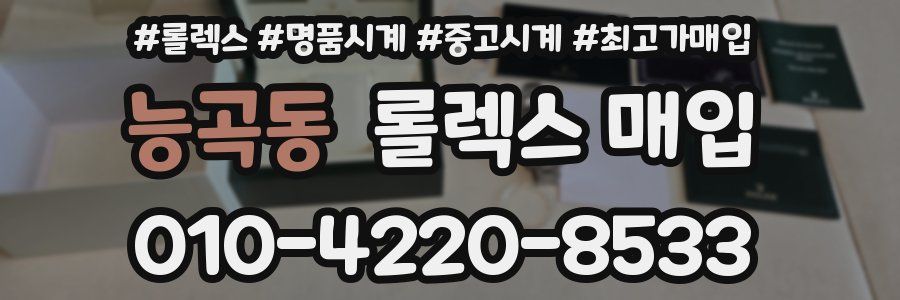 능곡동 롤렉스 매입