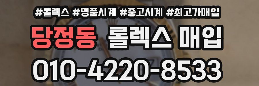 당정동 롤렉스 매입