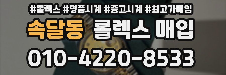 속달동 롤렉스 매입