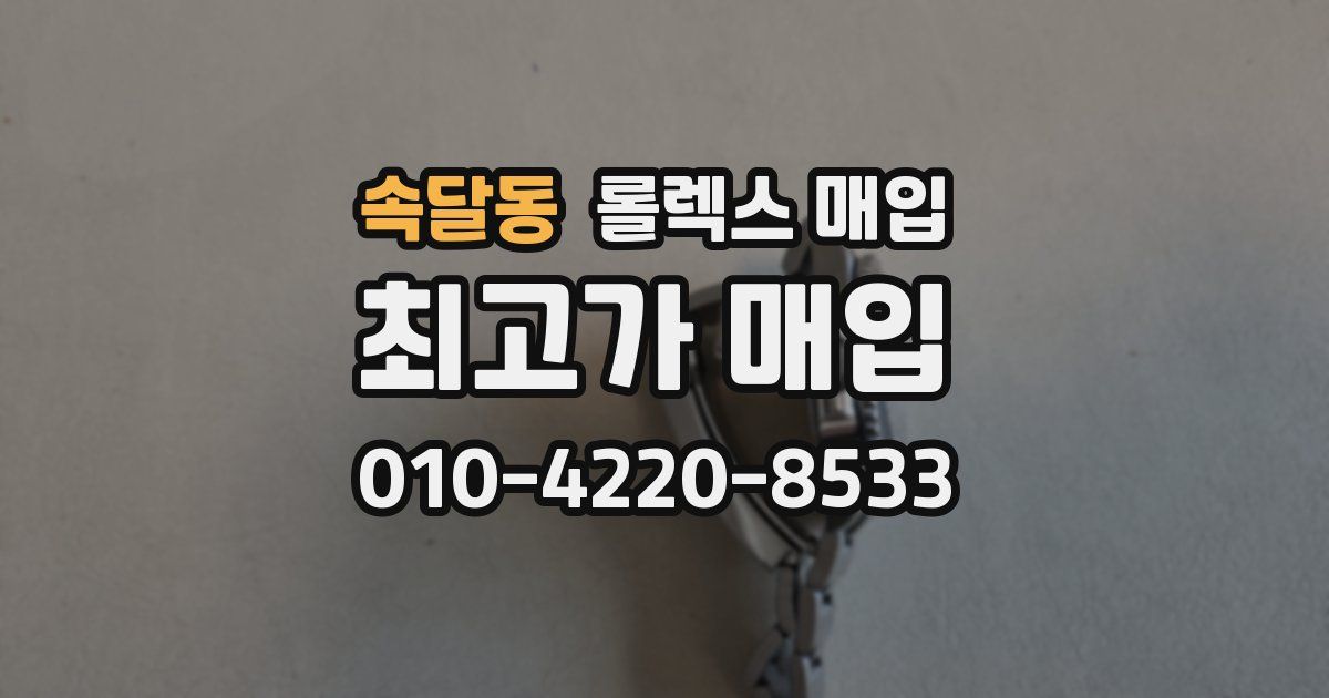 속달동 롤렉스 매입