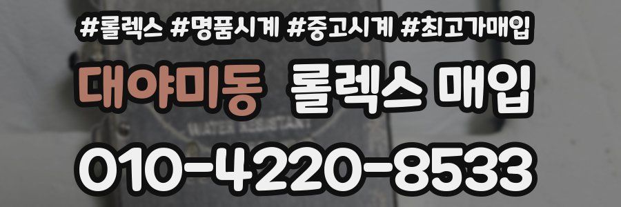 대야미동 롤렉스 매입