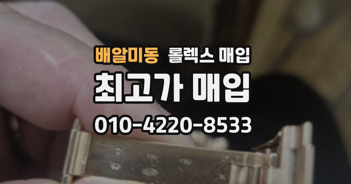 배알미동 롤렉스 매입