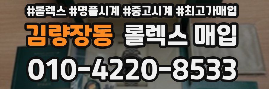 김량장동 롤렉스 매입