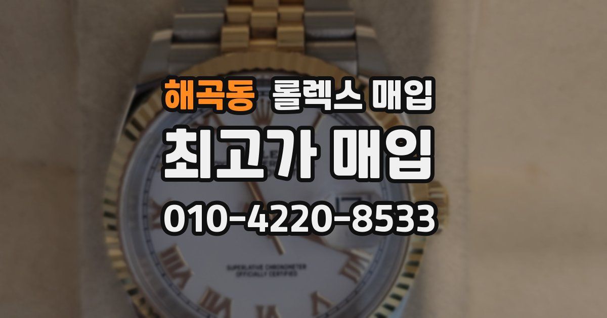 해곡동 롤렉스 매입