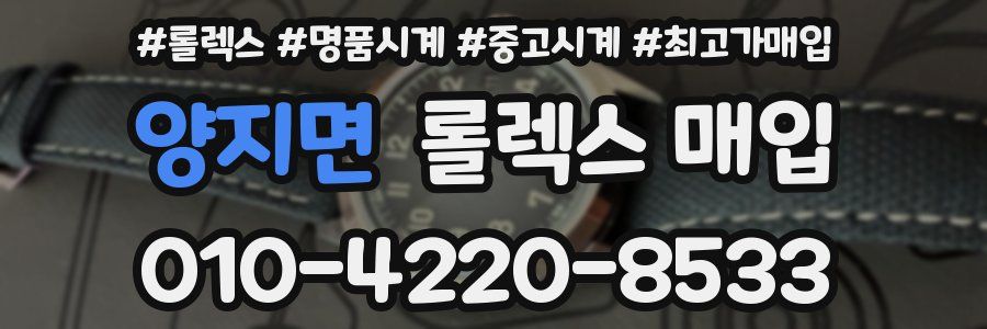 양지면 롤렉스 매입