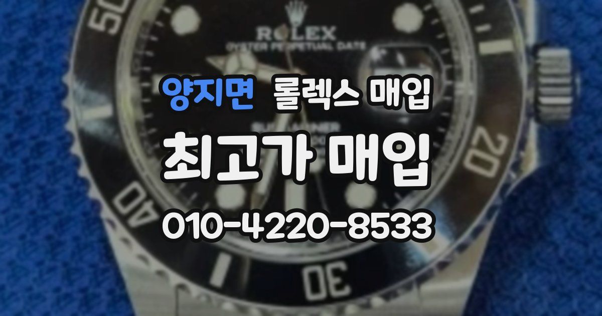 양지면 롤렉스 매입