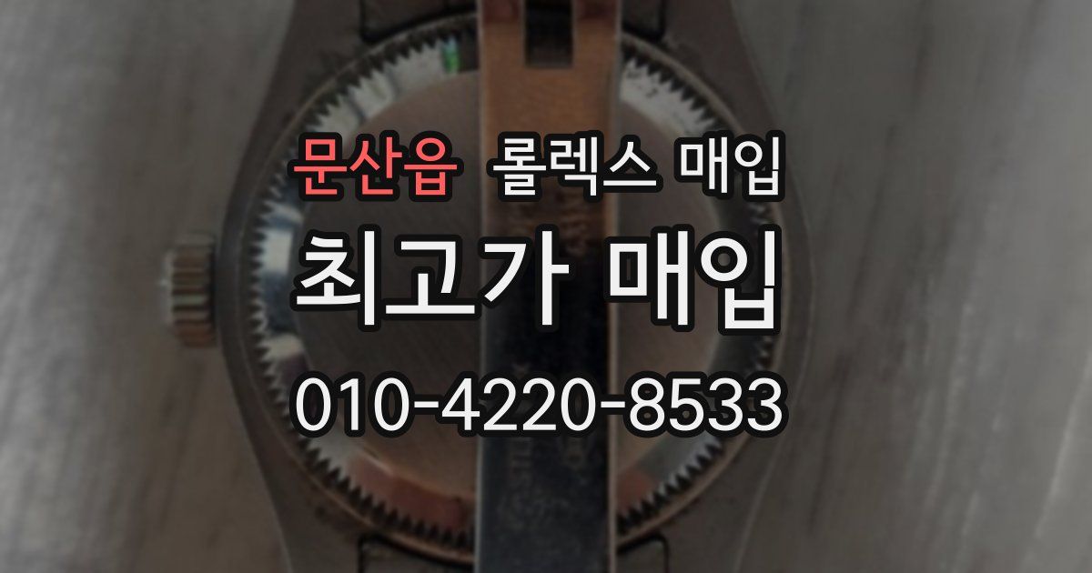 문산읍 롤렉스 매입