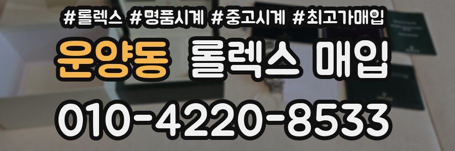 운양동 롤렉스 매입