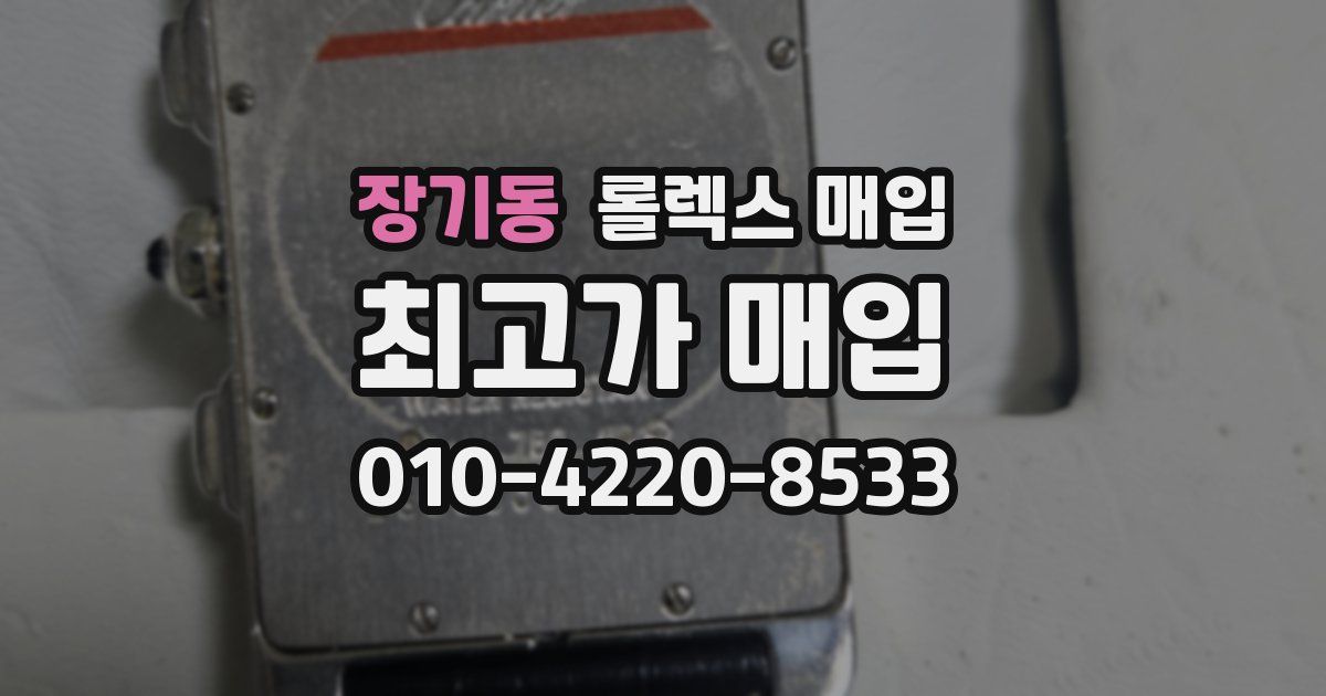 장기동 롤렉스 매입