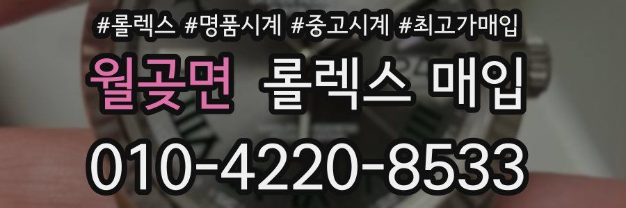월곶면 롤렉스 매입