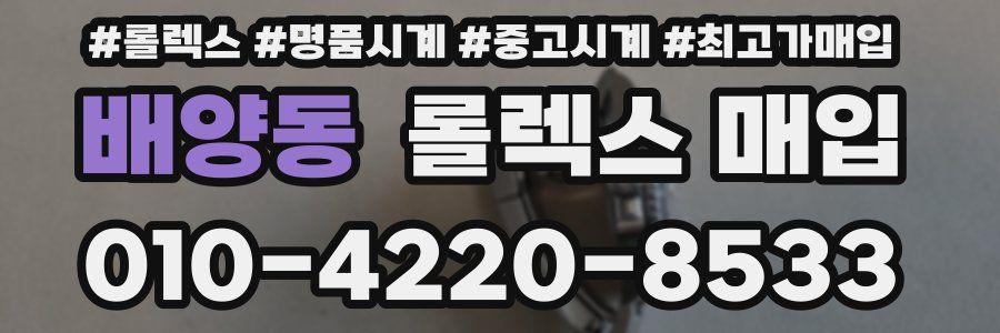 배양동 롤렉스 매입