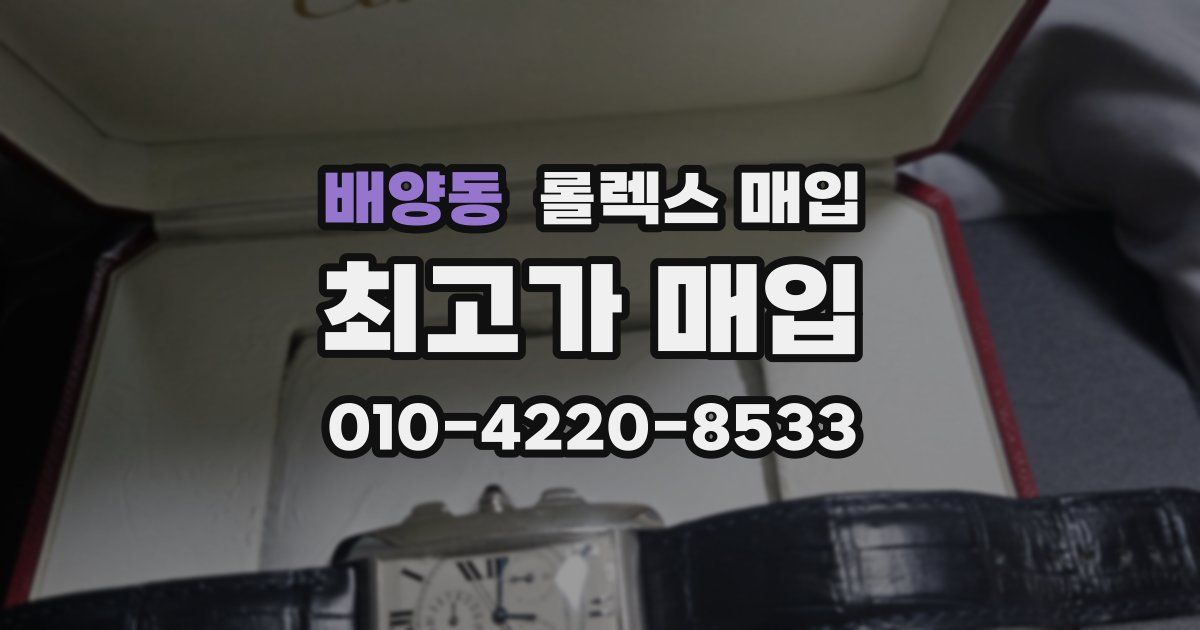 배양동 롤렉스 매입