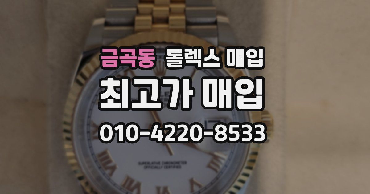 금곡동 롤렉스 매입