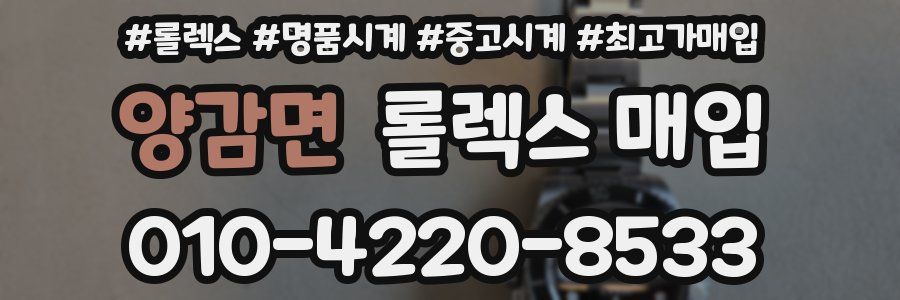 양감면 롤렉스 매입