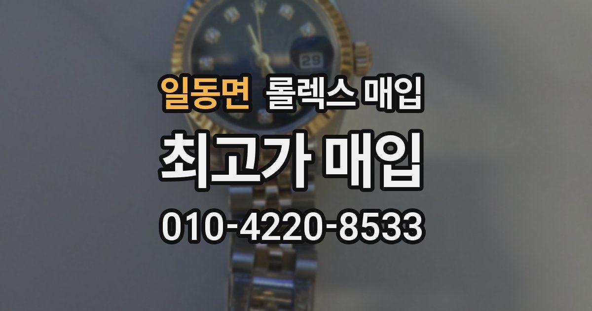 일동면 롤렉스 매입