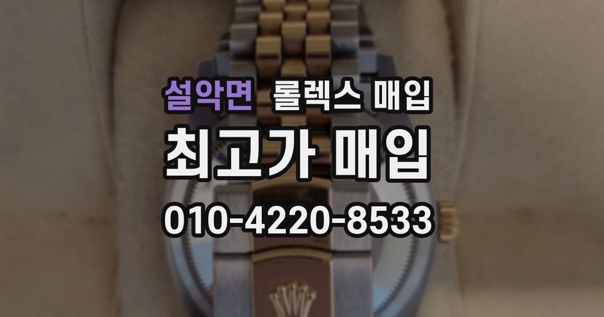 설악면 롤렉스 매입