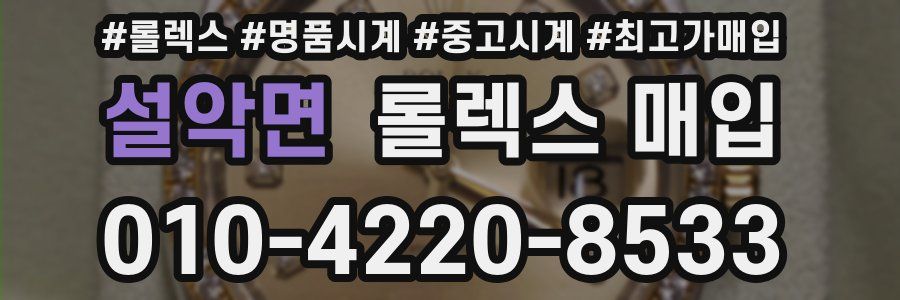 설악면 롤렉스 매입