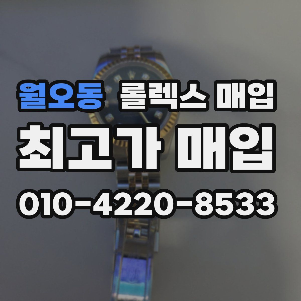 월오동 롤렉스 매입