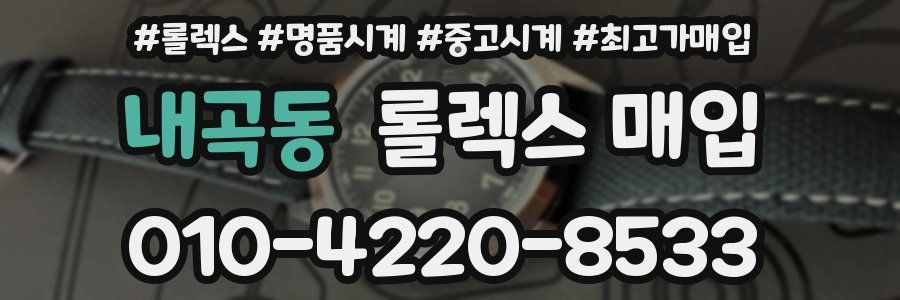 내곡동 롤렉스 매입