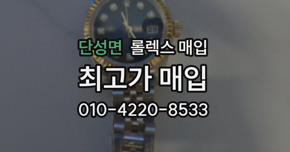 단성면 롤렉스 매입