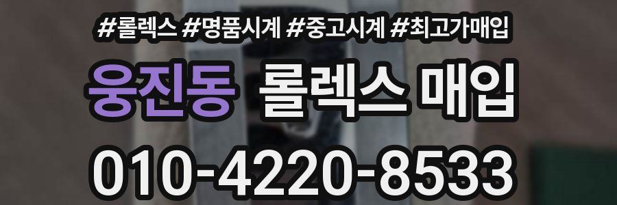 웅진동 롤렉스 매입