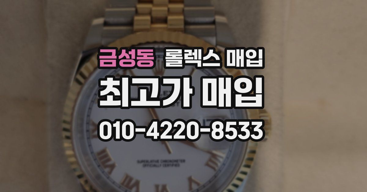 금성동 롤렉스 매입