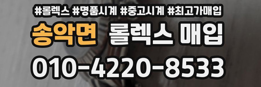 송악면 롤렉스 매입