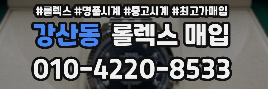 강산동 롤렉스 매입