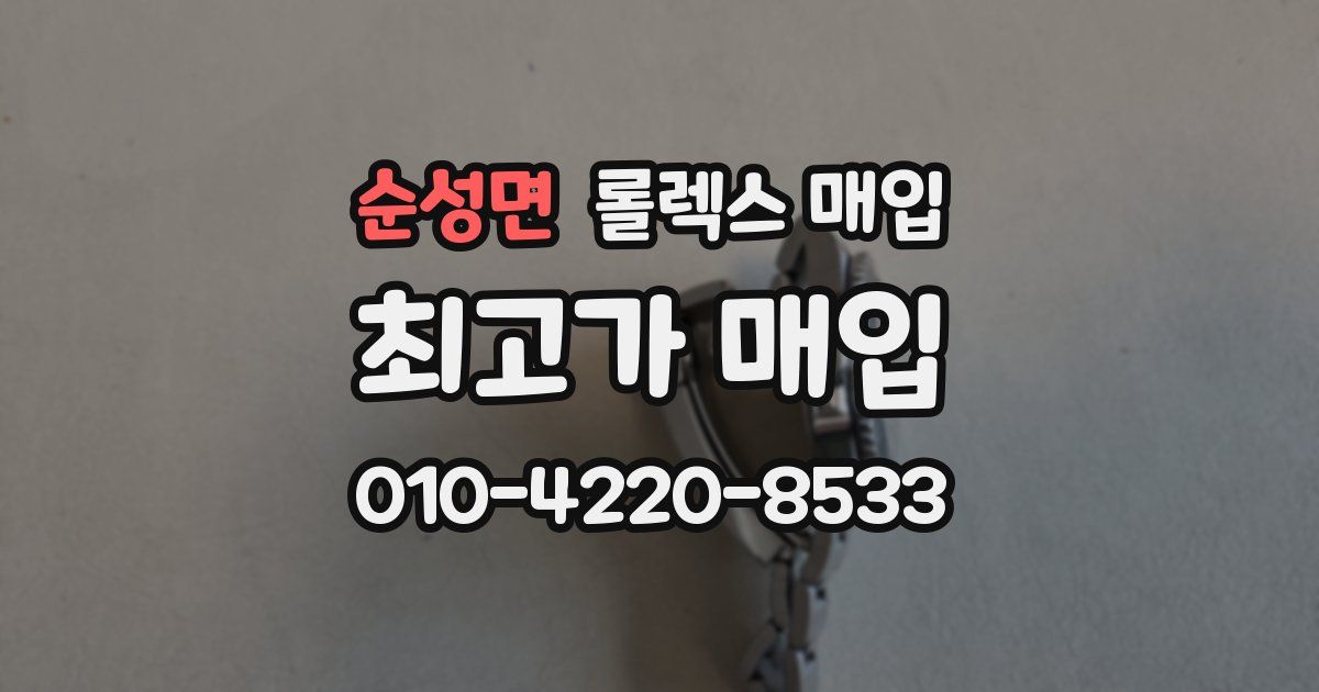 순성면 롤렉스 매입