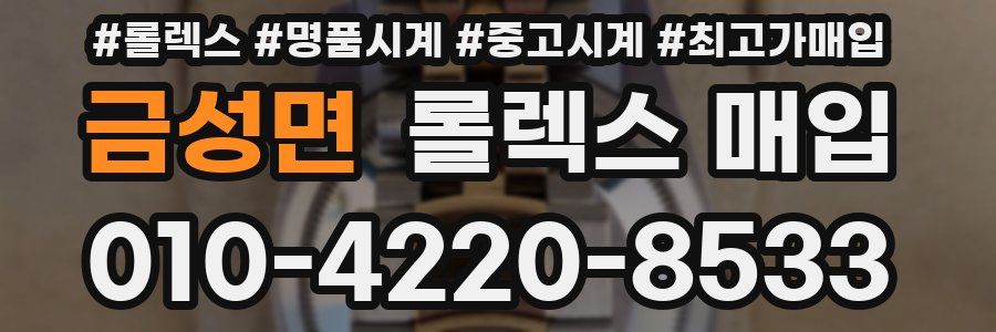 금성면 롤렉스 매입