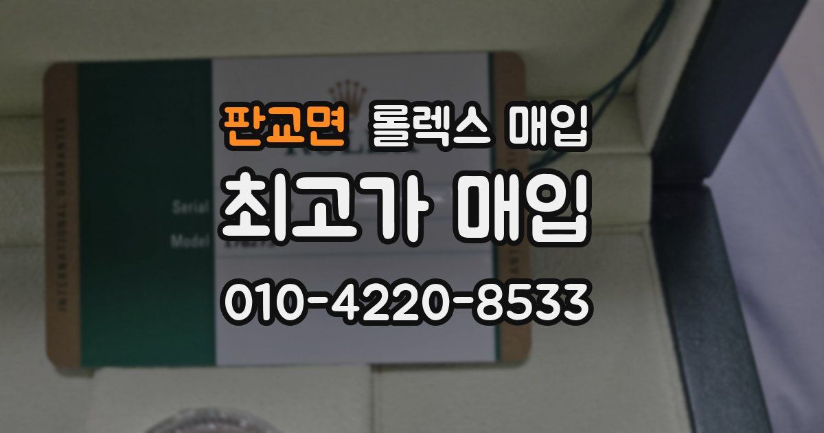 판교면 롤렉스 매입
