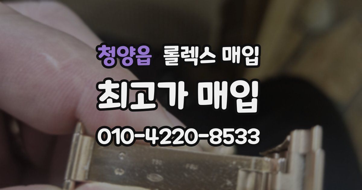 청양읍 롤렉스 매입