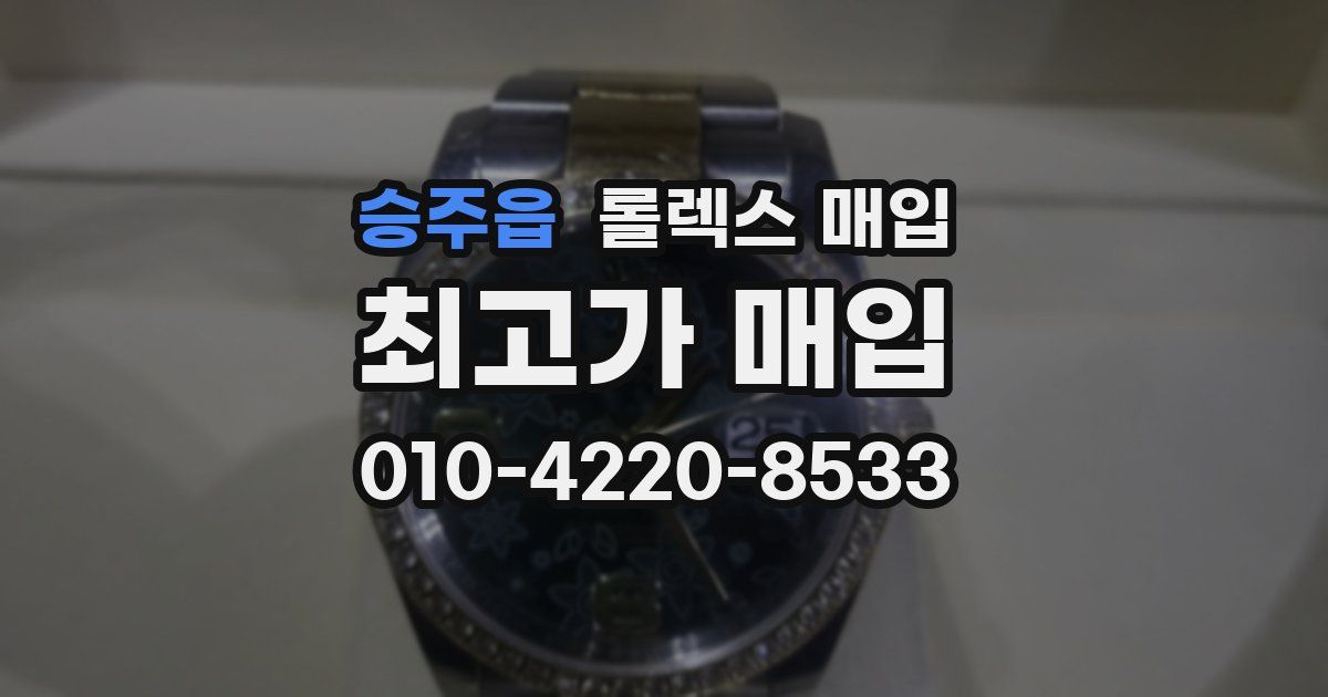 승주읍 롤렉스 매입