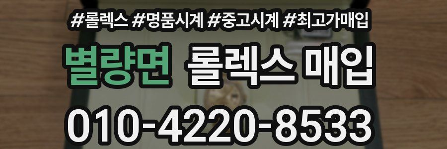 별량면 롤렉스 매입